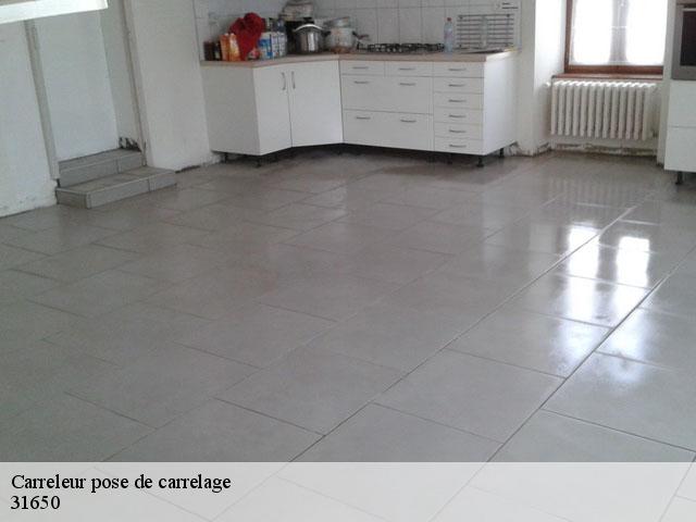 Carreleur pose de carrelage  31650