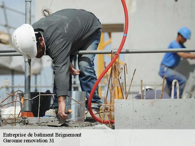 Entreprise de batiment  brignemont-31480 Garonne renovation 31