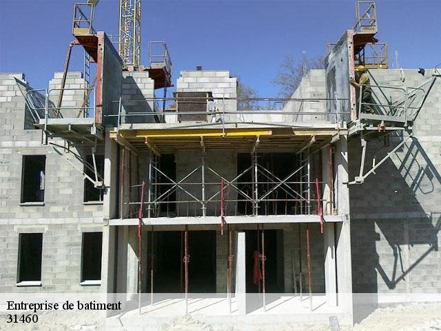 Entreprise de batiment 31460