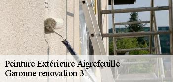 Peinture Extérieure aigrefeuille-31280 Garonne renovation 31