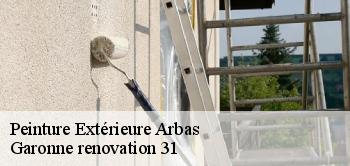 Peinture Extérieure arbas-31160 Garonne renovation 31