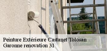 Peinture Extérieure castanet-tolosan-31320 Garonne renovation 31