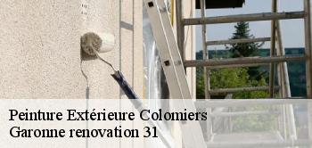 Peinture Extérieure colomiers-31770 Garonne renovation 31