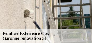 Peinture Extérieure cox-31480 Garonne renovation 31
