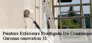 Peinture Extérieure frontignan-de-comminges-31510 Garonne renovation 31