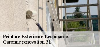 Peinture Extérieure lespinasse-31150 Garonne renovation 31