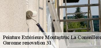 Peinture Extérieure montastruc-la-conseillere-31380 Garonne renovation 31
