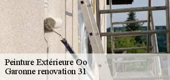 Peinture Extérieure oo-31110 Garonne renovation 31
