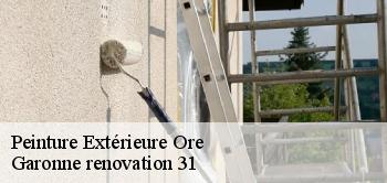 Peinture Extérieure ore-31510 Garonne renovation 31