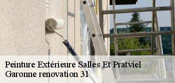 Peinture Extérieure salles-et-pratviel-31110 Garonne renovation 31