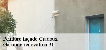 Peinture façade ciadoux-31350 Garonne renovation 31