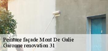 Peinture façade mont-de-galie-31510 Garonne renovation 31