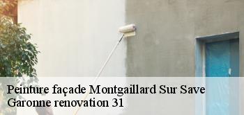 Peinture façade montgaillard-sur-save-31350 Garonne renovation 31