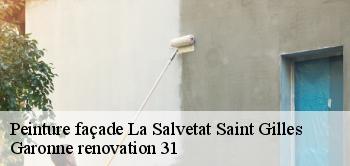 Peinture façade la-salvetat-saint-gilles-31880 Garonne renovation 31