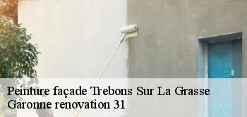Peinture façade trebons-sur-la-grasse-31290 Garonne renovation 31