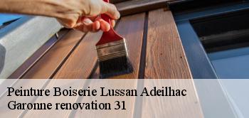 Peinture Boiserie lussan-adeilhac-31430 Garonne renovation 31