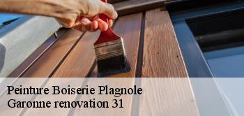 Peinture Boiserie plagnole-31370 Garonne renovation 31