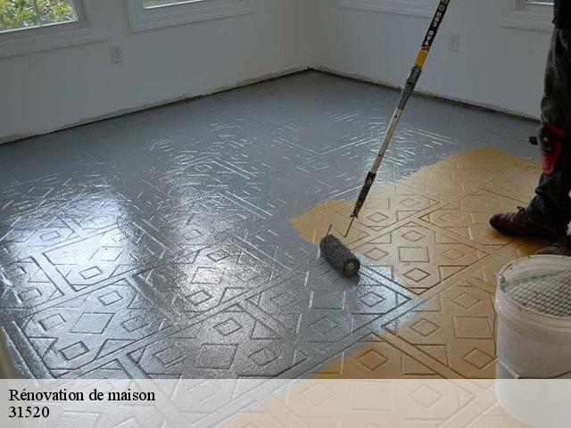 Rénovation de maison 31520