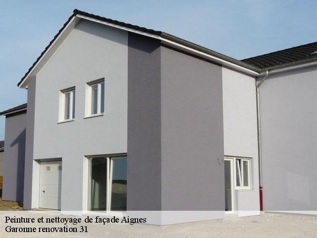 Peinture et nettoyage de façade  aignes-31550 Garonne renovation 31