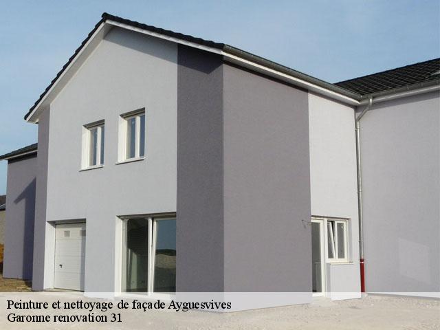 Peinture et nettoyage de façade  ayguesvives-31450 Garonne renovation 31