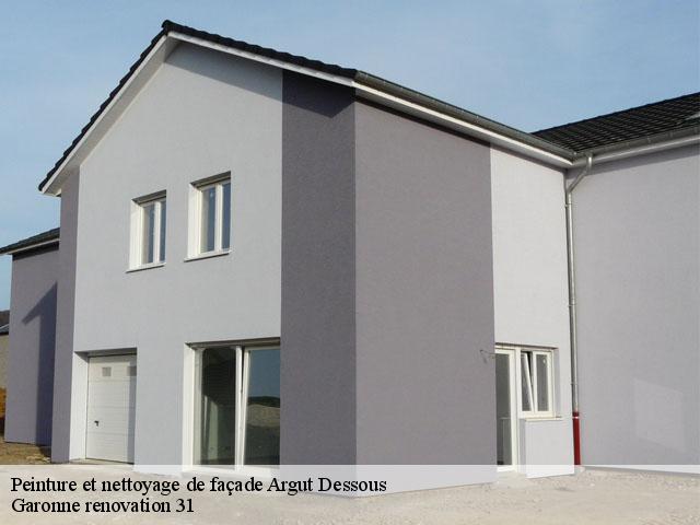 Peinture et nettoyage de façade  argut-dessous-31440 Garonne renovation 31