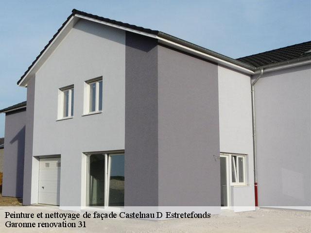 Peinture et nettoyage de façade  castelnau-d-estretefonds-31620 Gorgan Rénovation