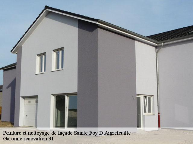 Peinture et nettoyage de façade  sainte-foy-d-aigrefeuille-31570 Garonne renovation 31