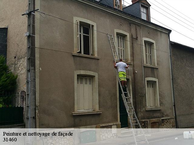 Peinture et nettoyage de façade 31460